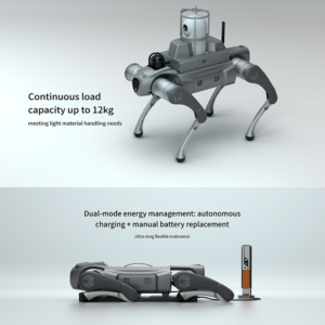 Robotic Dog-C1 Series
