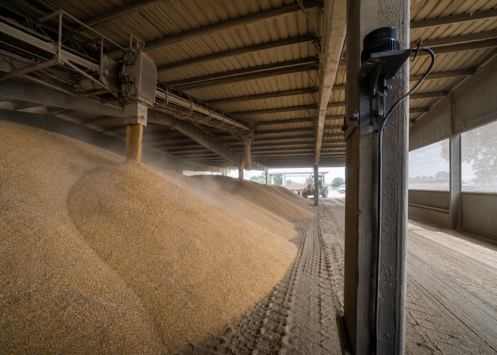 fixed LiDAR monitoring grain in a flat storage warehouse in a realistic LiDAR application scene