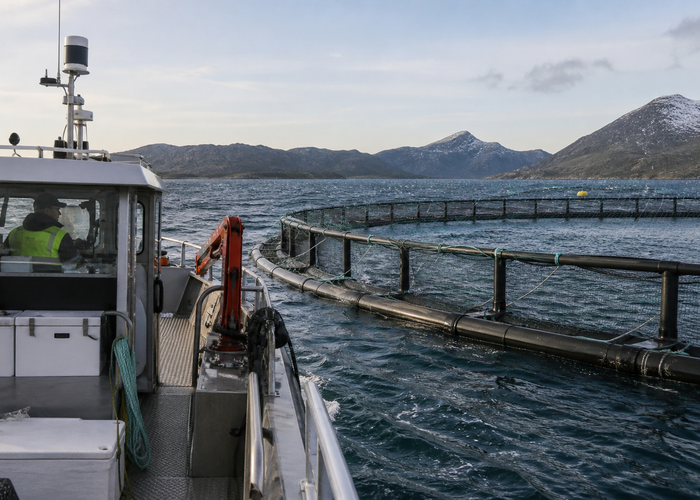 real aquaculture service vessel beside floating fish-farm net pens with unbranded physical 3D LiDAR sensors monitoring deck clearance, feed hoses and walkways validation scene 3