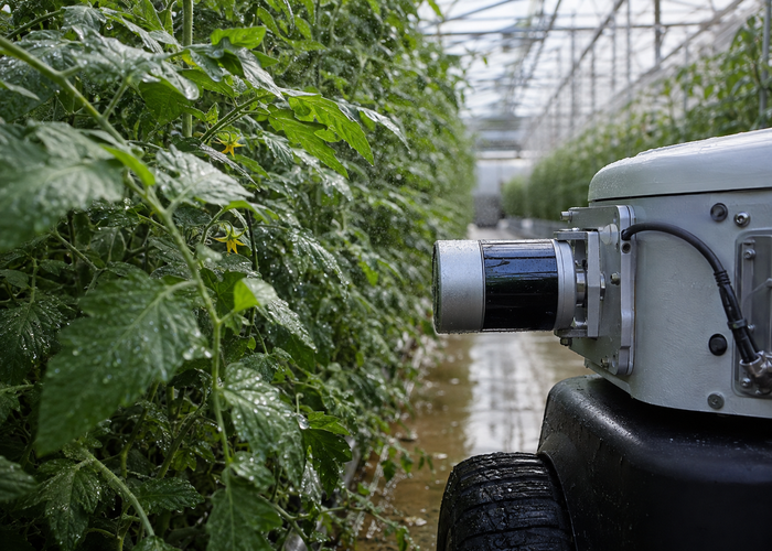compact agricultural robot with physical LiDAR navigating between dense greenhouse crop rows validation scene 2