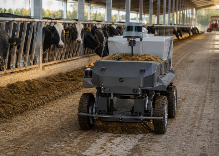 autonomous feed-pushing robot using physical LiDAR in a realistic dairy barn aisle beside cattle and feed bunks in a realistic LiDAR application scene